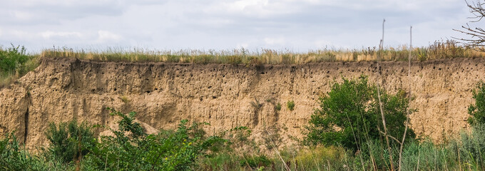 The cut of the earth, the collapse of the slope. Nests of shorebird swallows in a sand pit. Burrows in the ground.