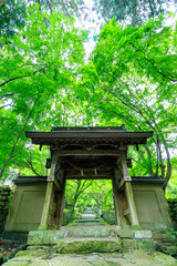 Fototapeta na wymiar 夏の両子寺　大分県国東市　Futagoji Temple in summer. Ooita-ken Kunisaki city.