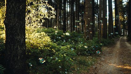 Soap bubbles in the middle of the forest in the mountains among the trees