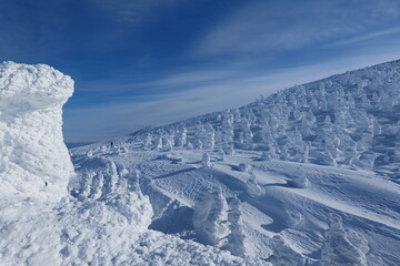 日本の冬の絶景。蔵王国定公園の樹氷。山形、日本。１月下旬。 - obrazy, fototapety, plakaty