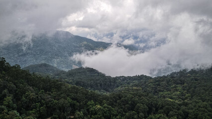 Doi Suthep-Pui National Park in Northern Thailand