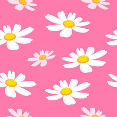 Seamless pattern of daisy flower on pink background vector illustration.