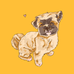 small fluffy dog sitting art - bichon digital illustration - cute puppy with a heart - zwetna bolonka