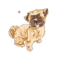 small fluffy dog sitting art - zwetna bolonka bichon digital illustration - cute puppy with a heart