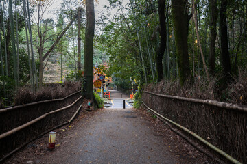 Bamboo Grove in Arashiyama, Kyoto, Japan