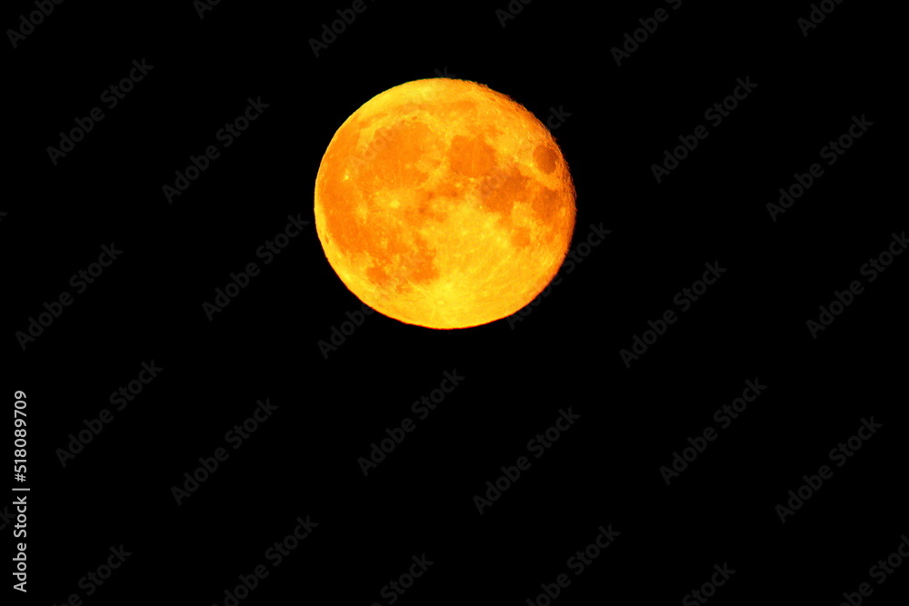 Wall mural large yellow moon taken at a close approximation during the period of the full moon and the maximum 