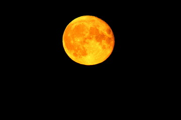 Large yellow moon taken at a close approximation during the period of the full moon and the maximum...