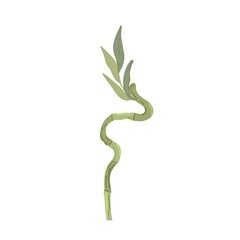 Bamboo plant simple flat style vector illustration, traditional japanese plant, oriental decorative ornament for textile design, fabrics, home decor, zen concept