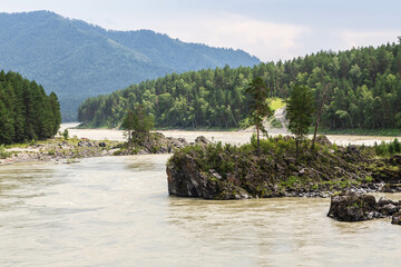 Katun river with rocky shores and cliffs near Chemal village. Altai Republic, Siberia, Russia