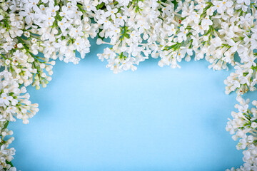 Frame of white lilac flowers on a blue background, copy space