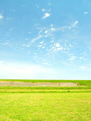 Fototapeta premium 初夏の江戸川河川敷と土手風景