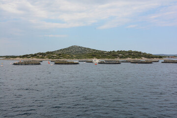 allevamento cozze isole incoronate in croazia