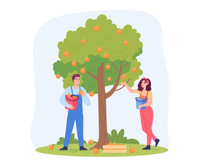 Male and female farmers harvesting oranges from tree. Man and woman collecting citrus fruits flat vector illustration. Farming, gardening, agriculture, harvest concept for banner or landing web page