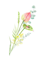 Hand painted watercolor floral bouquet. Iceland Poppies, anthurium, eucalyptus illustration isolated on white l background, print, invitation or greeting cards, garden cover for your text.
