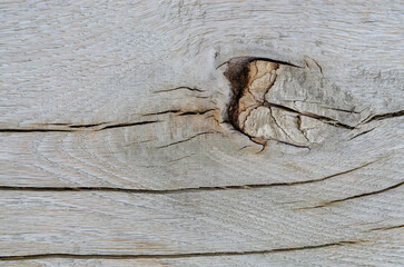 Wood texture. Lining boards wall. Wooden background. pattern. Showing growth rings..