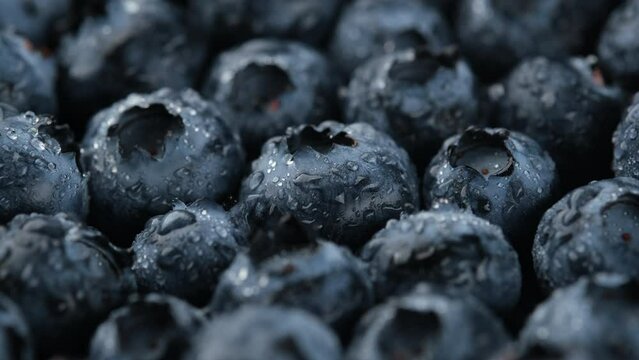 Fresh blueberries close up, rotation