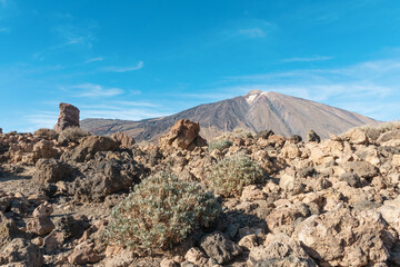 Panoramic view of unique Roque Cinchado unique rock formation with famous Pico del Teide mountain volcano summit in the background on a sunny day, Teide National Park, Tenerife, Canary Islands, Spain
