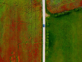 aerial view of a country road through a field of blooming red poppies