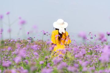 Traveler or tourism Asian women standing and chill  in the purple  verbena flower field in...