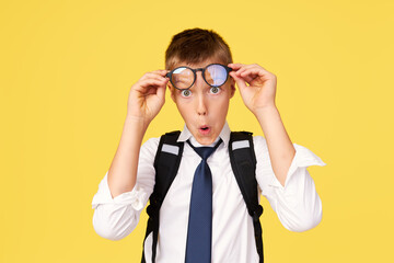 Portrait of a schoolboy in glasses with textbooks and a backpack on a yellow background. Back to...