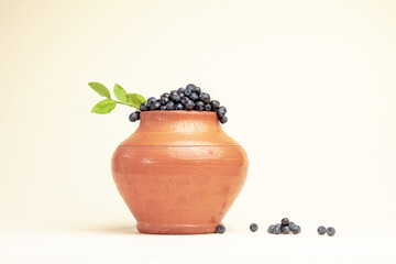 blueberries in a jug, blueberries in a clay pot, composition of wild berries