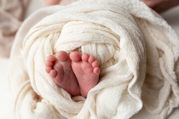 feet of a newborn baby in cloth. little baby feet. care and comfort. a family. hygiene