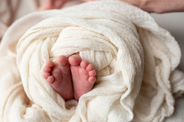 feet of a newborn baby in cloth. little baby feet. care and comfort. a family. hygiene