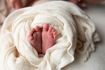 feet of a newborn baby in cloth. little baby feet. care and comfort. a family. hygiene