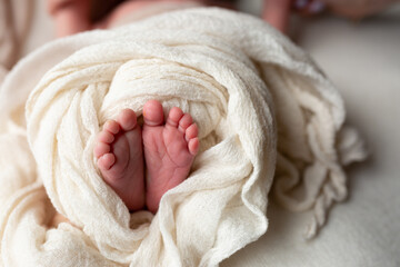 feet of a newborn baby in cloth. little baby feet. care and comfort. a family. hygiene