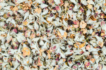 The Flower tea. Dried of apple blossom textured.