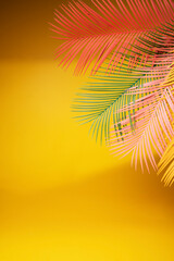  Palm leaf on a yellow background. - Summer concept