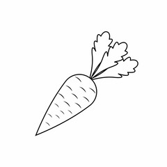 Carrot vegetable vector icon outline black EPS 10. Vegetarian flat illustration. Farm market product. Agriculture concept. Fresh healthy organic food..Crop concept for vegan. Isolated on white.