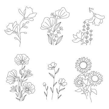 Line art flowers design set. Floral motifs for tattoo print wall art cover. Magnolia, chrysanthemum, lavender, poppy, shirley, sunflower, helianthus blossom bud branch leaves. Vector illustration