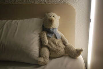 Teddy bear with pillow
