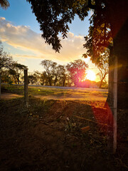 Sunset near the road