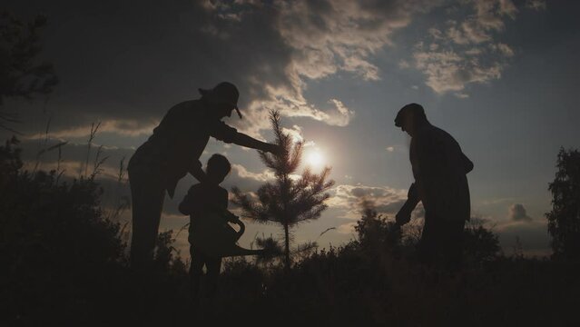 Silhouette of happy family planting, watering trees in forest at sunset outdoor. Volunteers together help nature : reforestation, agriculture work, vegetation growthing, sprout growing for planet safe
