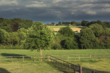 Fototapeta na wymiar Pasture with wooden fences and trees in rolling countryside under a cloudy sky.