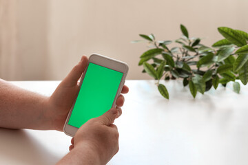 person holding phone with chroma key