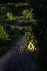 Garden hose hanging on a wooden pole in sunlight in a summer garden.