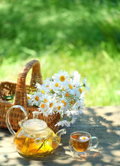 Chamomile flowers in basket, glass teapot and cup with herbal tea on table in garden, natural abstract green background. summer season. rustic composition. relax time. useful calming tea - obrazy, fototapety, plakaty