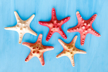 Fototapeta na wymiar Marine blue background with seashells and starfish.