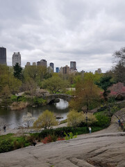 Fototapeta na wymiar beautiful view of the central park New York 