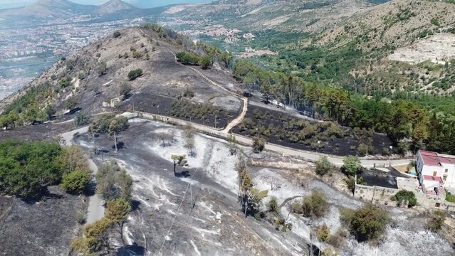 Vegetation destroyed and trees burned by the vast fire that hit the Mountain of San Michele.