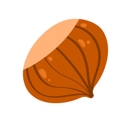Hazelnut isolated on white background. Vector illustration. 