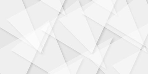 Fototapeta premium Abstract background with white and grey background. space design concept. Texture of white paper. Background for various purposes. Texture of old crumpled origami paper, white background 