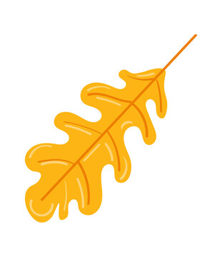 yellow oak leaf on white background clip art preview