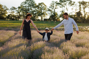 Happy family walking in the lavender field holding each other's hands