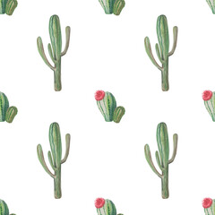 Watercolor botanical seamless pattern with cactus and mexican flowers. Natural art fot textile and pack.
