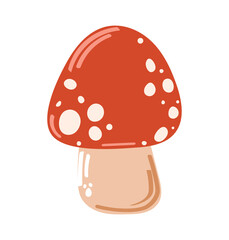 Amanita mushroom. Vector illustration isolated on white background. 
