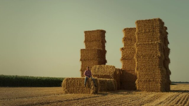 Farmer resting hay stack in sunset sunlight. Farmland owner inspecting stubble